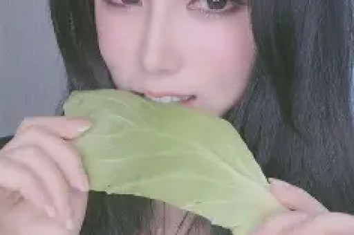 安金株：现代化视野下河南太昊伏羲陵春节庙会研究